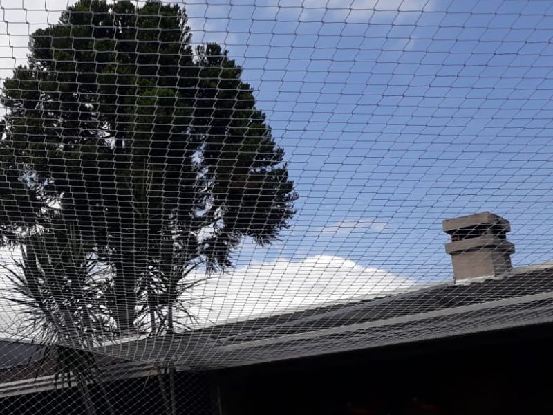 Instalação de tela protetora em Belém