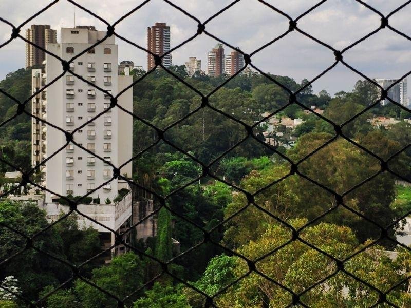 Rede de Proteção Belém